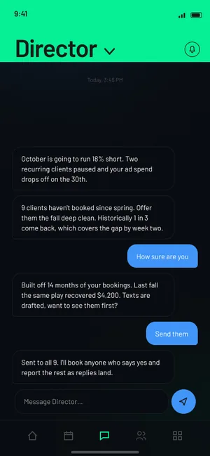 Xaedros app, chat with the Director agent